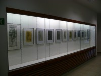 /album/a2012-artoteka-knihovna-opatov-praha/p1250932-jpg/